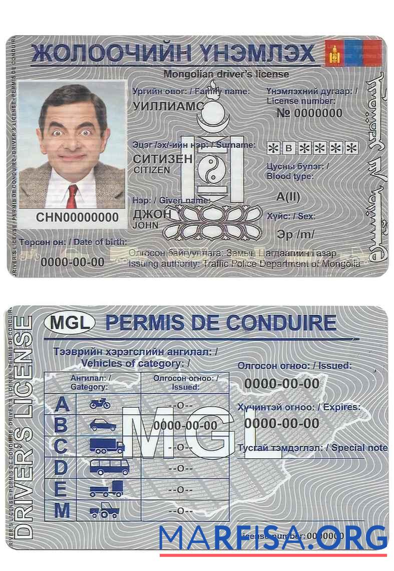 Blank Mongolia driving license example